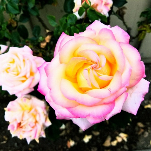 Let's meet! - Picture 3 of 4